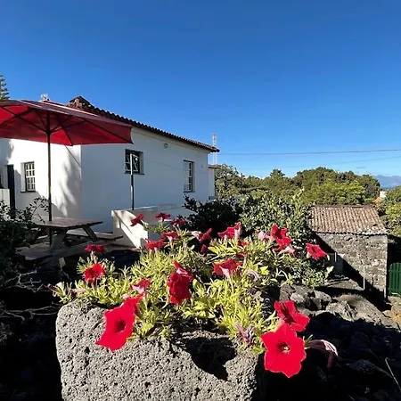 Casa Da Latada *
